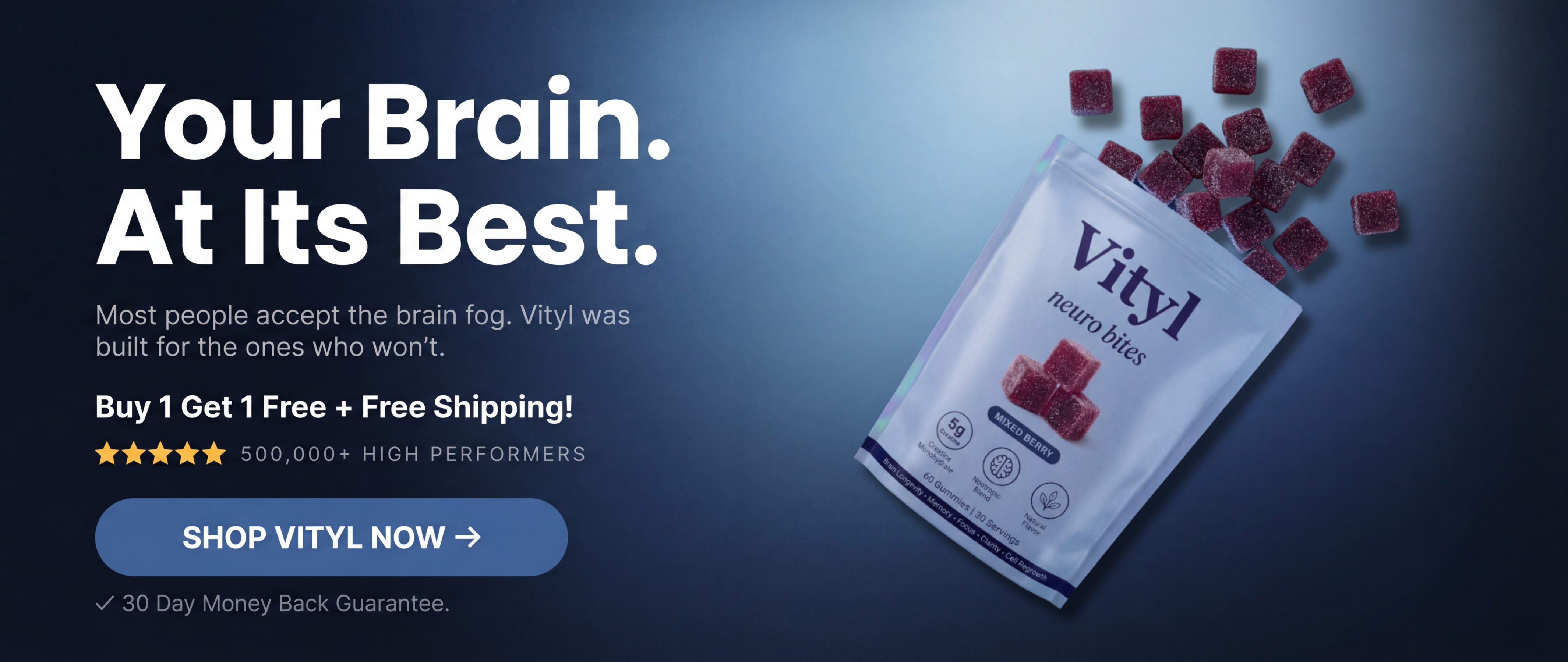 vityl neuro bites banner